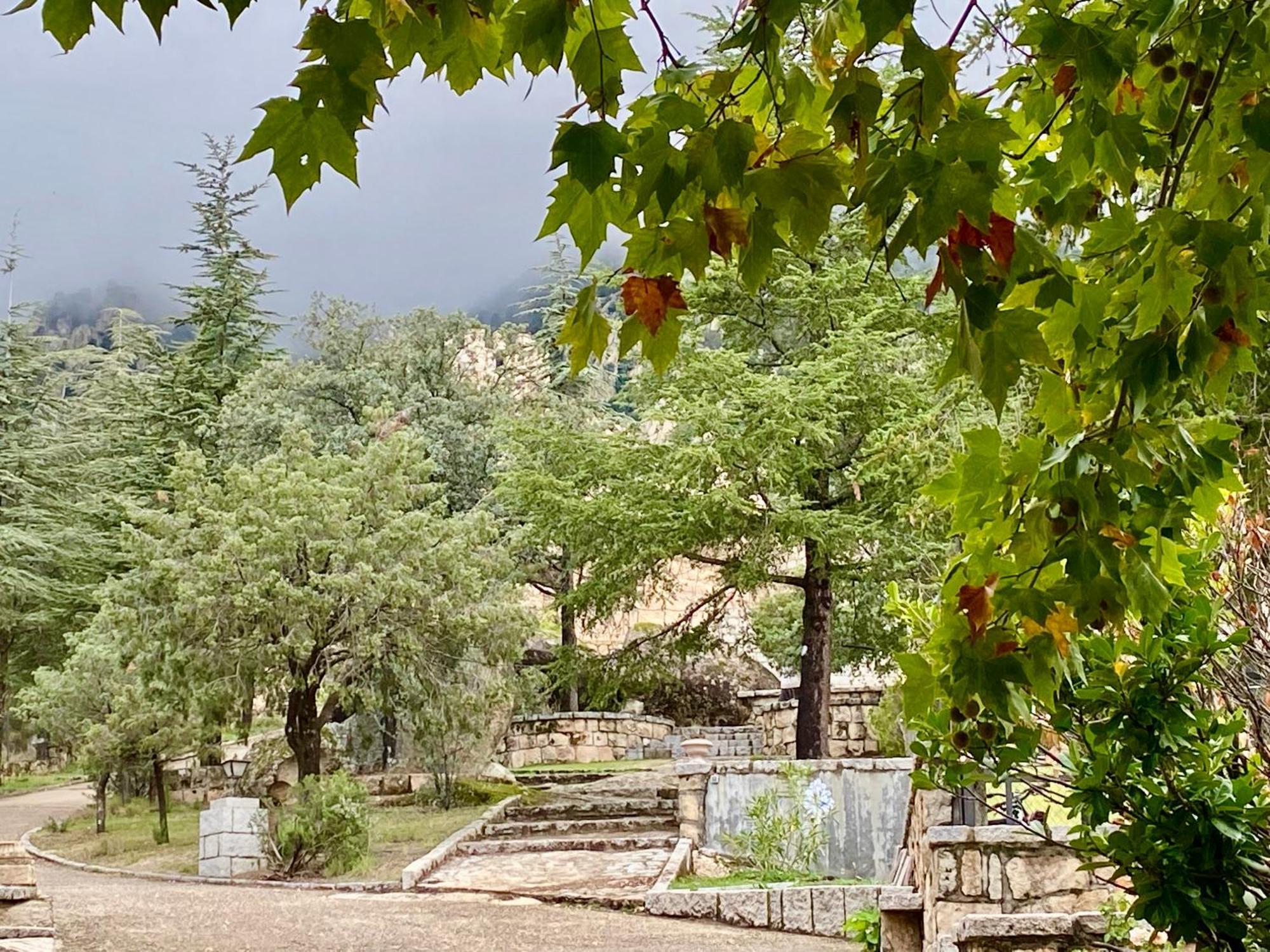 Cabanas Rusticas Dentro De La Finca El Castillo La Cabrera Kültér fotó